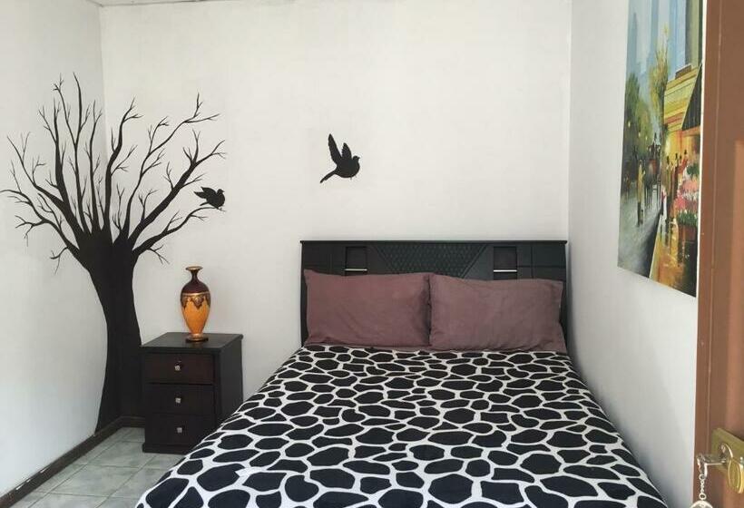 اتاق استاندارد, The Backpacker Hostal