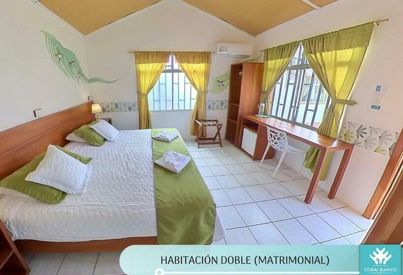 Номер Superior, Coral Blanco With High Speed Internet Starlink And Galapagos Tour Operator
