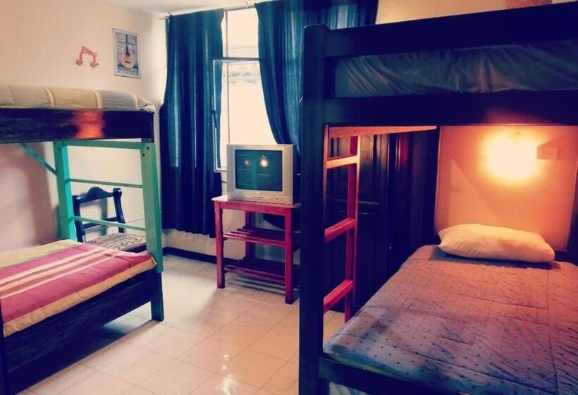 تختخواب در اتاق مشترک, Flying Donkey