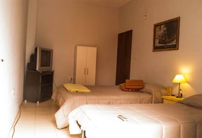 اتاق استاندارد با سرویس بهداشتی مشترک, Loica Hostel