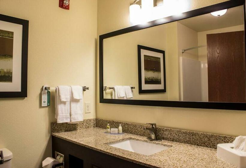Люкс Повышенной Комфортности, Cobblestone Hotel & Suites   Chippewa Falls