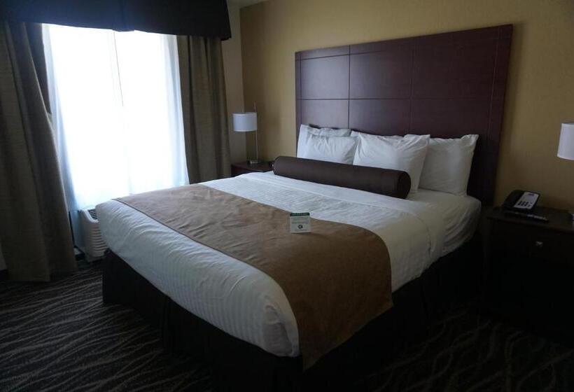 Люкс, Cobblestone Hotel & Suites   Chippewa Falls