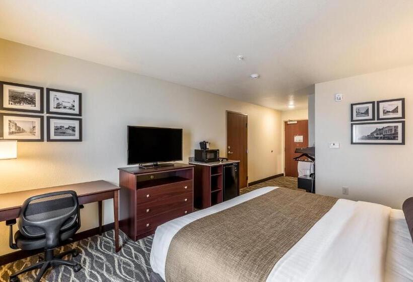 Номер Стандарт Кровать Кинг Адаптированный для Инвалидов, Cobblestone Hotel & Suites   Chippewa Falls