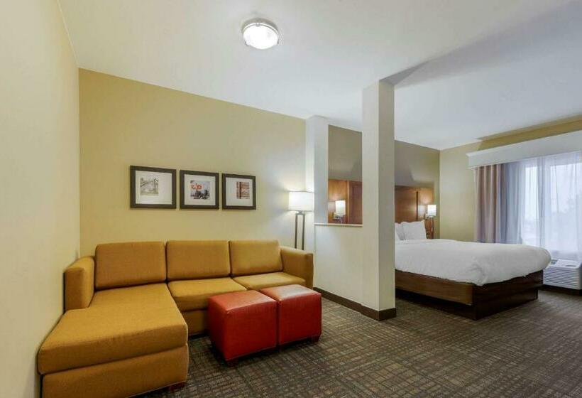 스위트 킹사이즈 침대, Comfort Suites Loveland