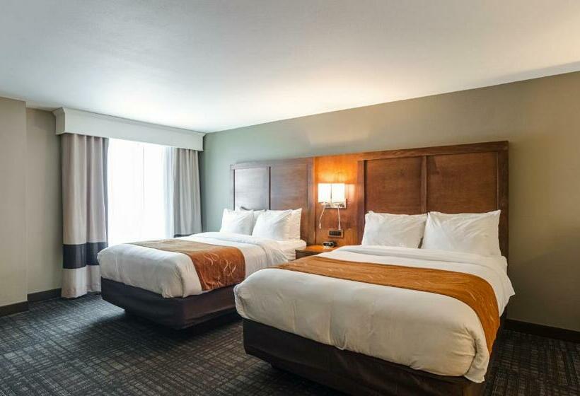 스위트, Comfort Suites Loveland