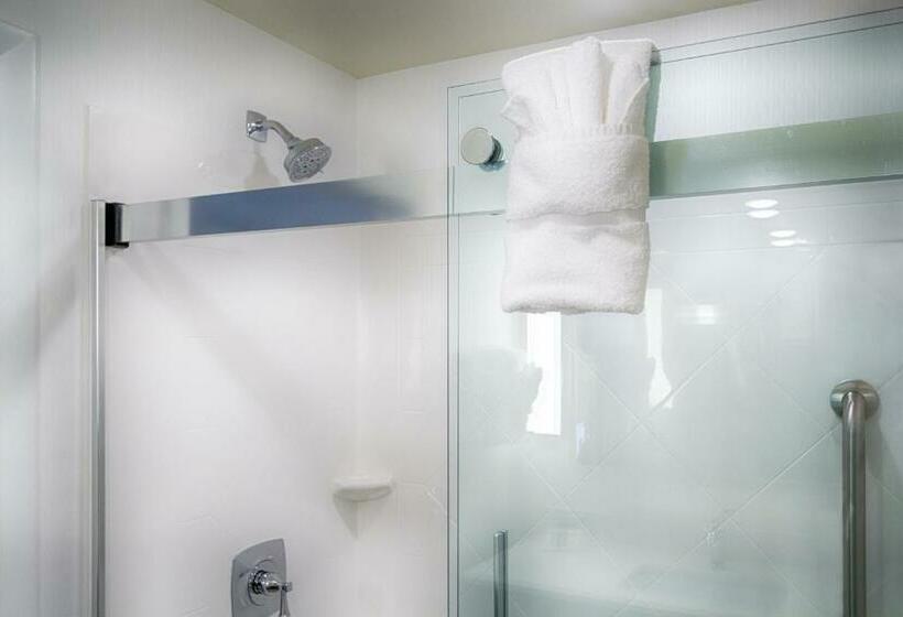Номер Deluxe Кровать Кинг, Hilton Garden Inn Salina
