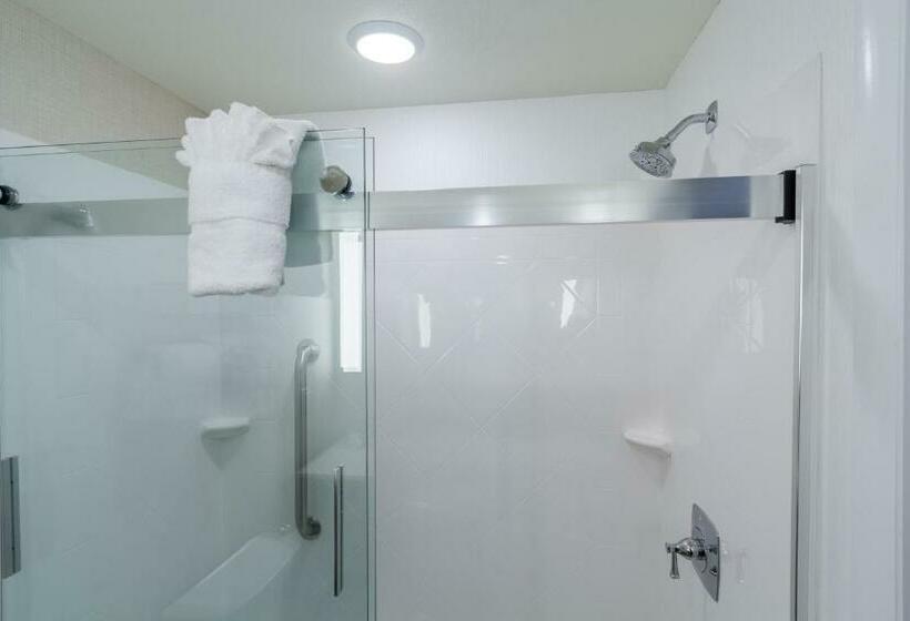 스탠다드 룸 킹사이즈 침대, Hilton Garden Inn Salina