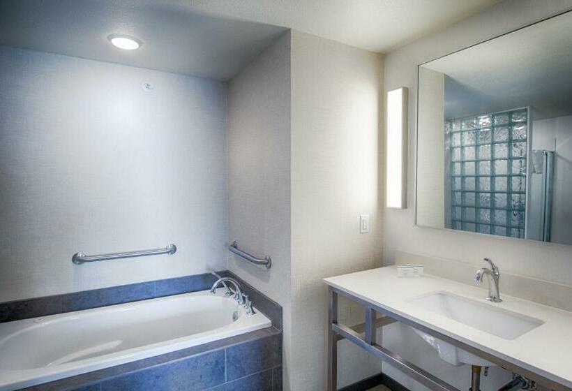 Номер Стандарт Кровать Кинг Адаптированный для Инвалидов, Hilton Garden Inn Salina