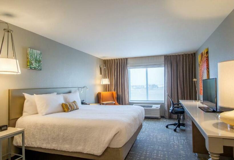 스탠다드 룸 킹사이즈 침대, Hilton Garden Inn Salina