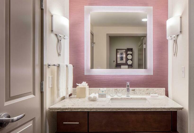 Люкс Адаптированный для Инвалидов, Homewood Suites By Hilton New Orleans French Quarter