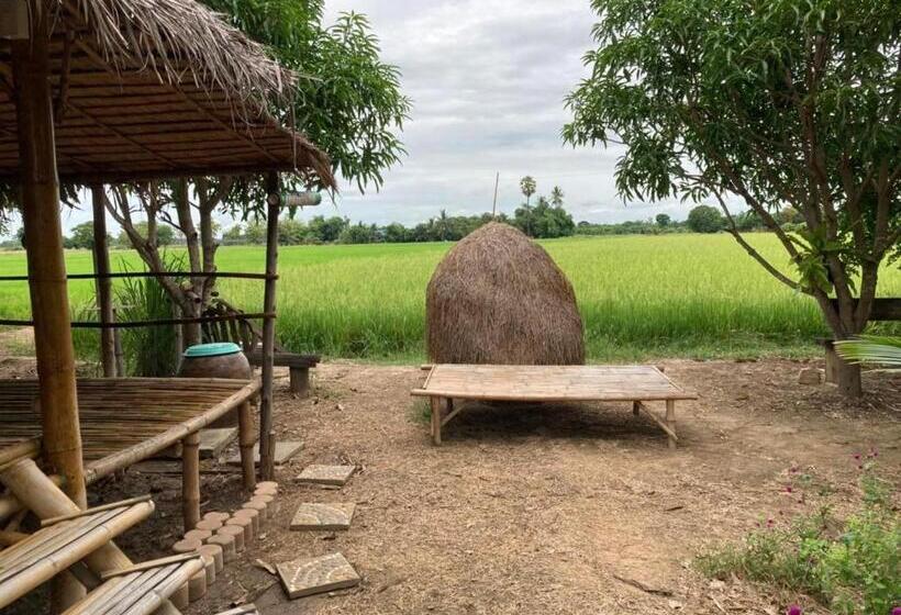 Одноместный Номер Basic, Kratomrimtung Homestay กระท่อมริมทุ่งโฮมสเตย์