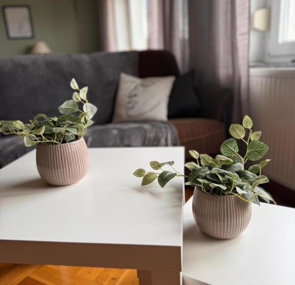 Апартаменты 1 Спальня, Pension Faulpelz   Apartment