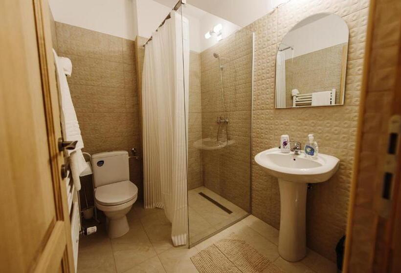 带大床的标准间, Pensiunea Casa Negrea