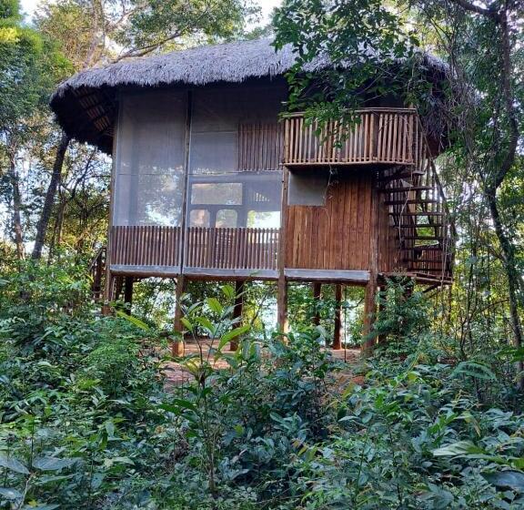 Бунгало Стандарт, Ecoaraguaia Jungle Lodge