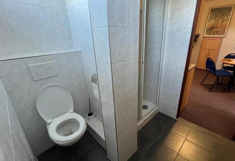 Апартаменты 1 Спальня Нижний Этаж, Apartmány Chata Samoty