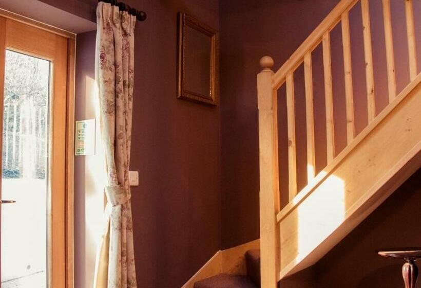 Четырехместный номер Премиум, The Blackboys Inn
