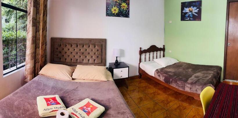 اتاق استاندارد با چشم‌انداز باغ, Alpes Huaraz