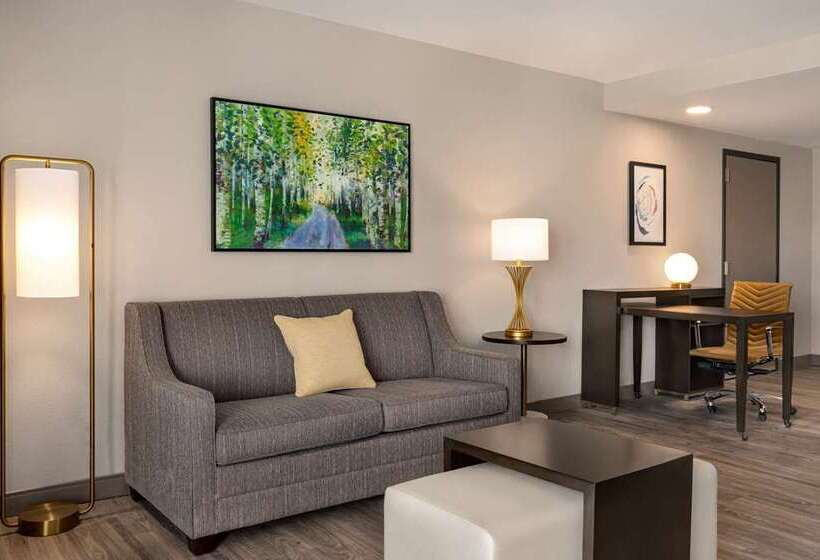 إستوديو قياسى سرير كينج, Home2 Suites By Hilton Nokomis Sarasota Casey Key