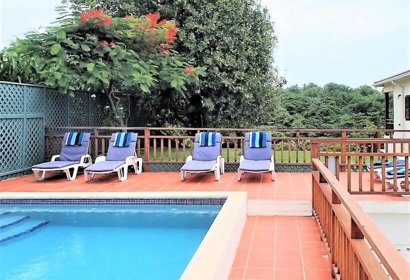 استودیو استاندارد با تخت کینگ, Two Bays Beach Villa Apartment And Studios