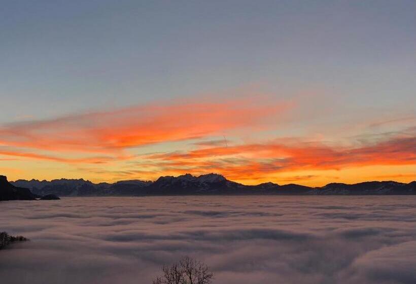 스탠다드 테라스 룸, Dreiländerblick Dornbirn