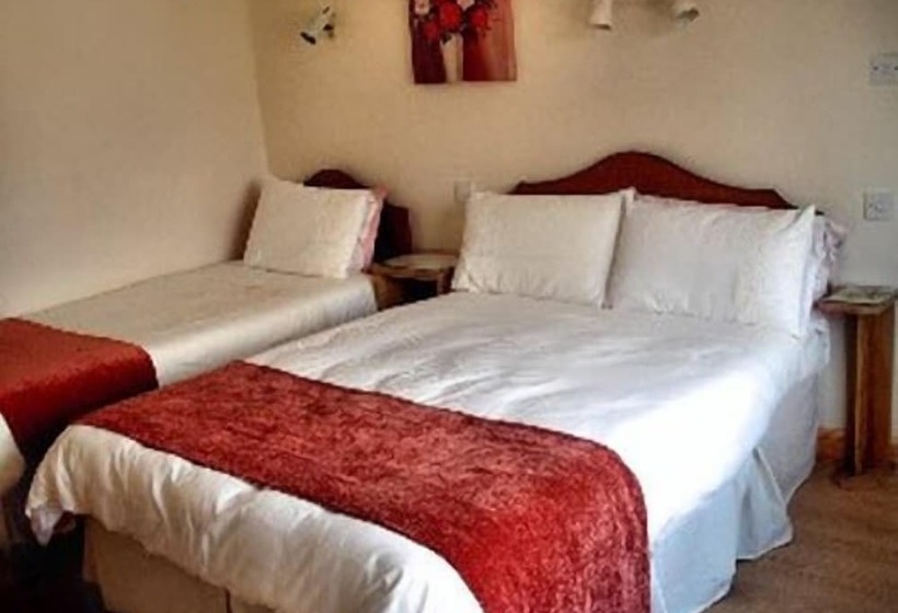 Номер Стандарт, Maryville Bed And Breakfast