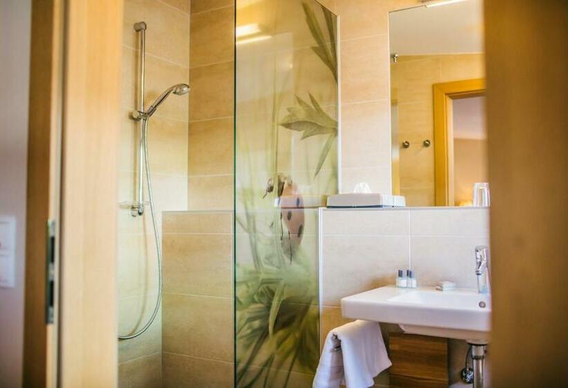 اتاق عادی, Dr Otto Murr B&b