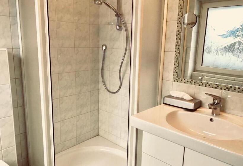 اتاق سوپریور یک تخته, Dr Otto Murr B&b