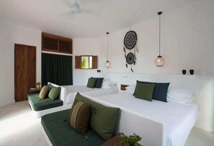 スタンダードルーム, Villas Hm Palapas del Mar