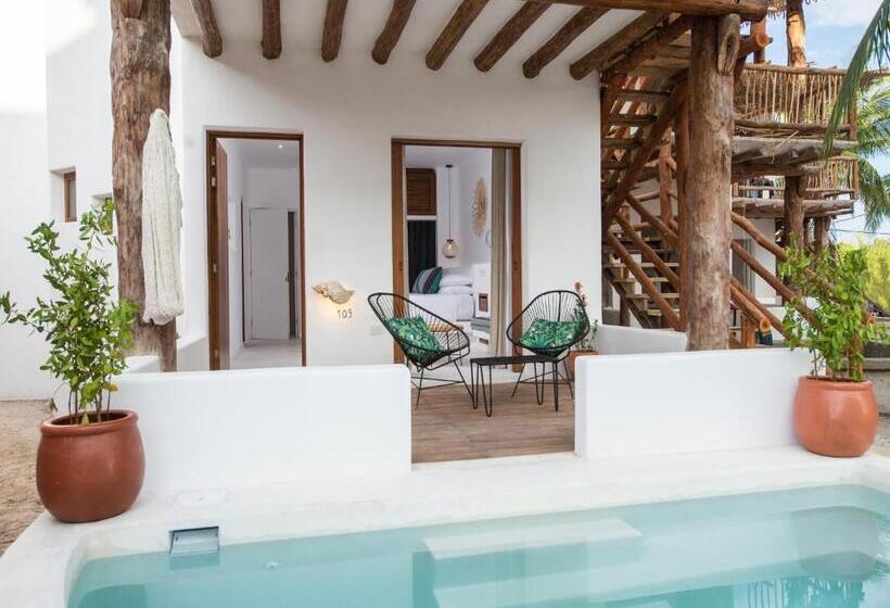 スタンダードルーム, Villas Hm Palapas del Mar