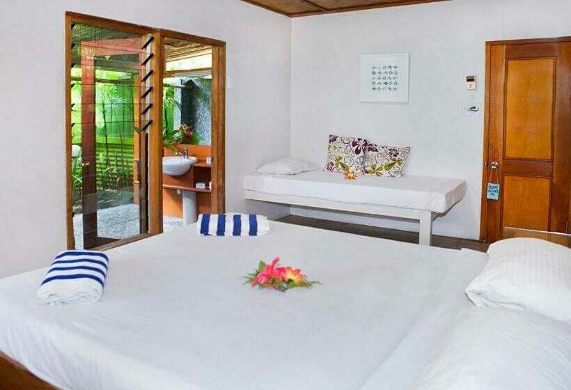 스탠다드 룸, Beachouse Resort