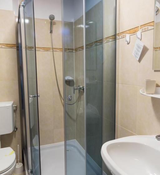 اتاق اکونومی, Casa Bradul Voronet