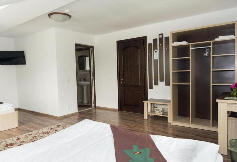 اتاق استاندارد, Casa Bradul Voronet