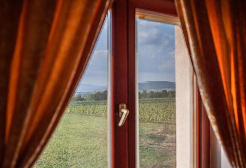 Трехместный Президентский, Borhotel Sziluett Farkasmály