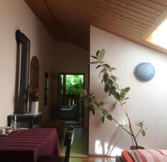 Номер Стандарт, Pension Zur Freiheit