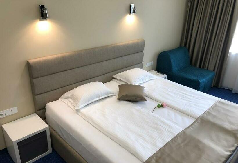 اتاق استاندارد, Family Hotel Avenue