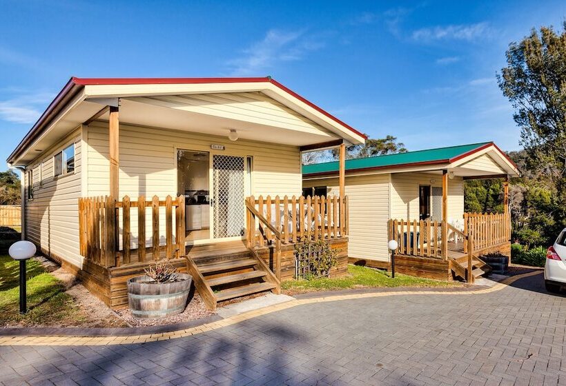 Номер Стандарт, Wintersun Gardens Motel