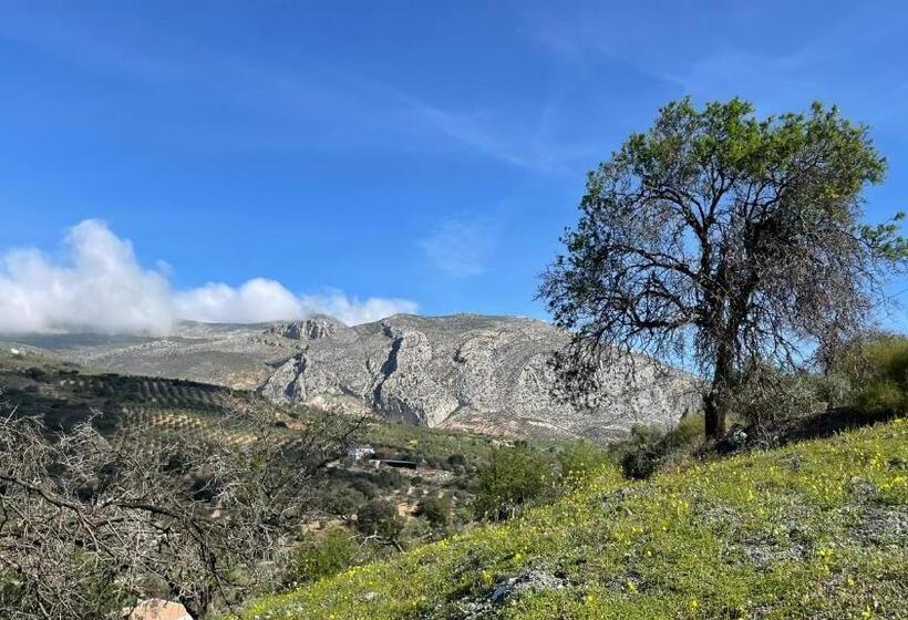 Номер Стандарт, Finca Valle Verde