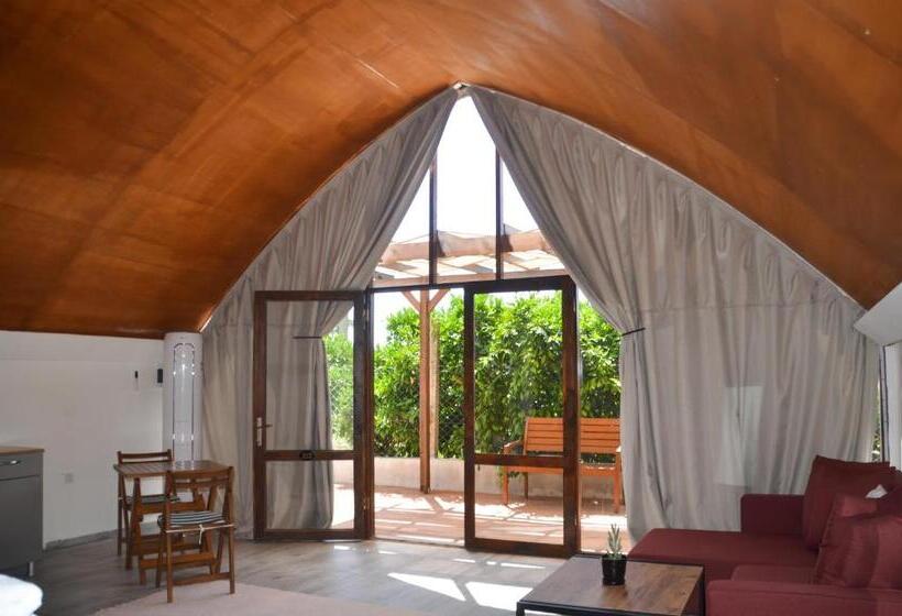 스탠다드 테라스 룸, Quonset Glamping