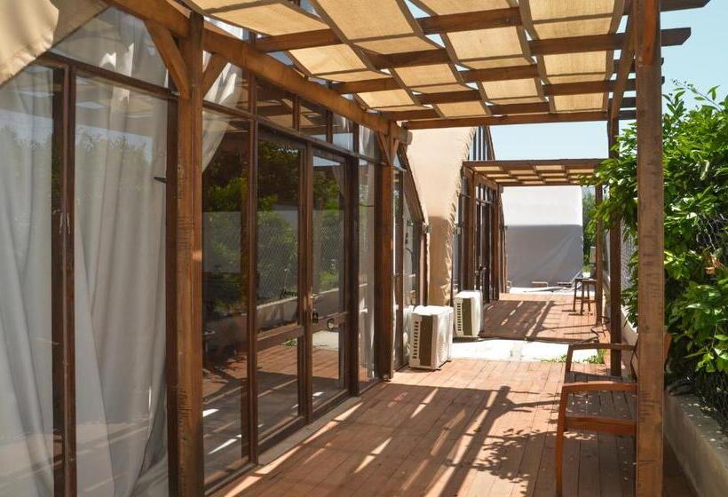 스탠다드 테라스 룸, Quonset Glamping
