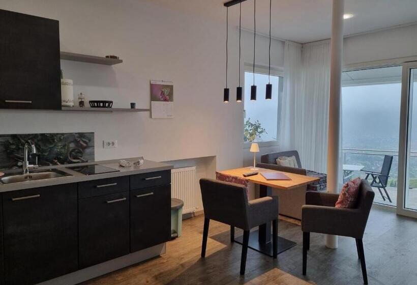 带露台的小型套房, Appartements Graf Hartwig