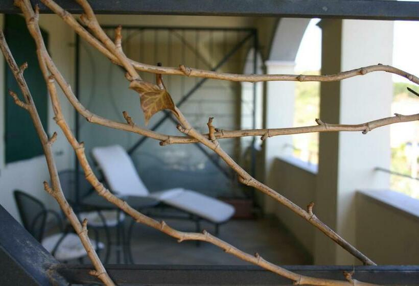 Номер Executive, Terre D'orcia