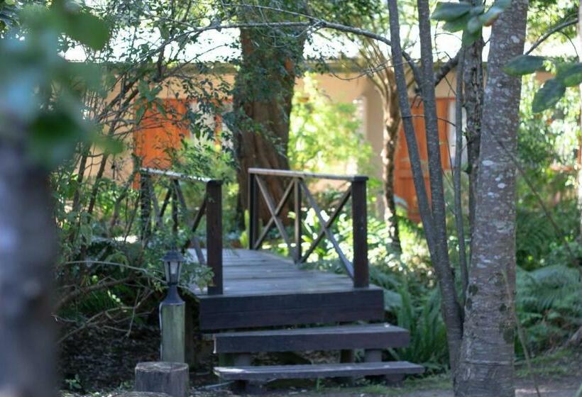 Номер Стандарт Вид на Сад, Andelomi Forest Lodge