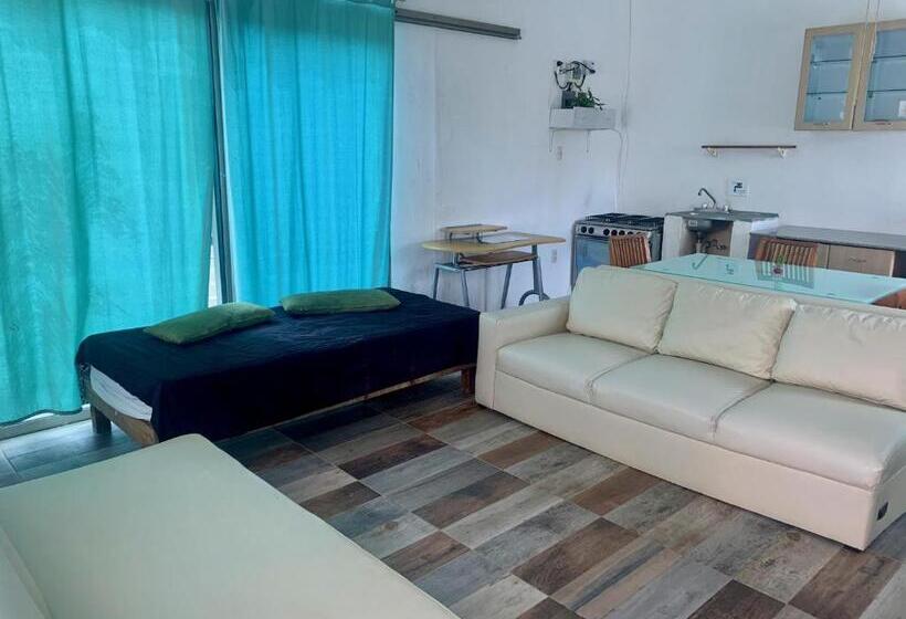 استودیو خانوادگی, Ecoplaneta By Casa Borush