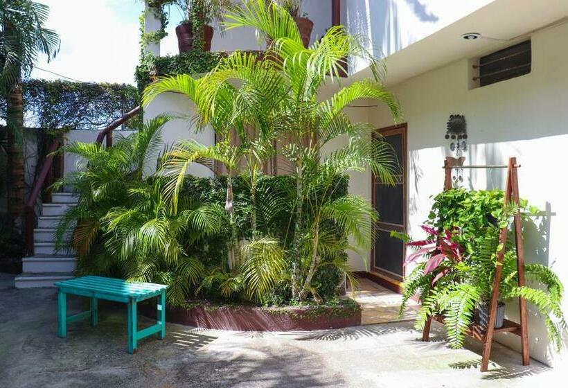 スタンダードスタジオ, Hostal & Suites Pata De Perro