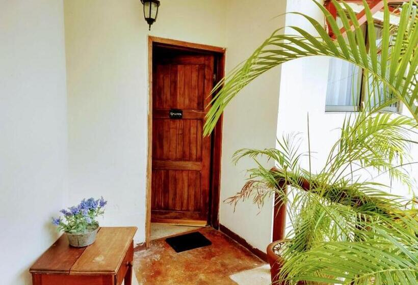 テラス付スイート, Hostal & Suites Pata De Perro