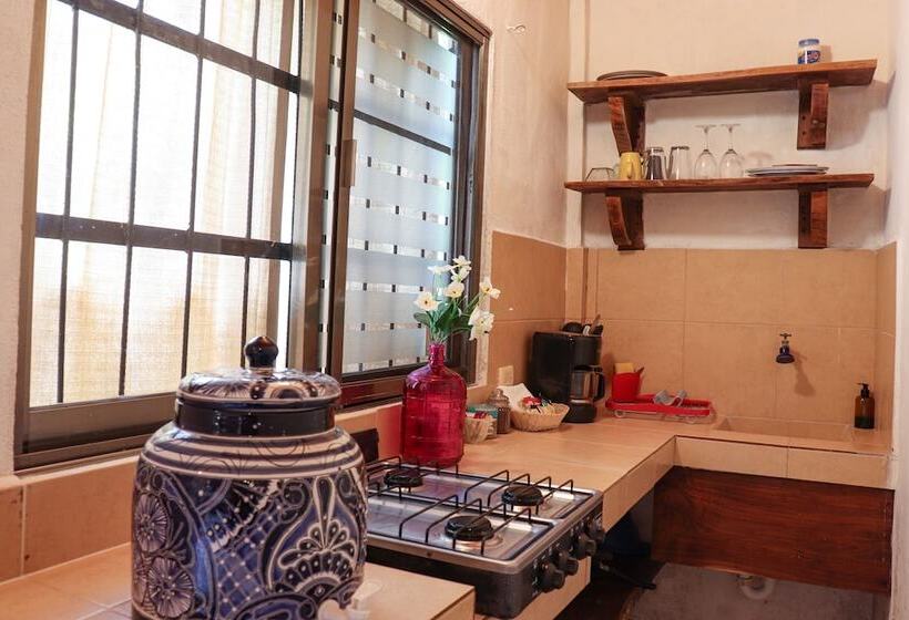 スタンダードスタジオ, Hostal & Suites Pata De Perro