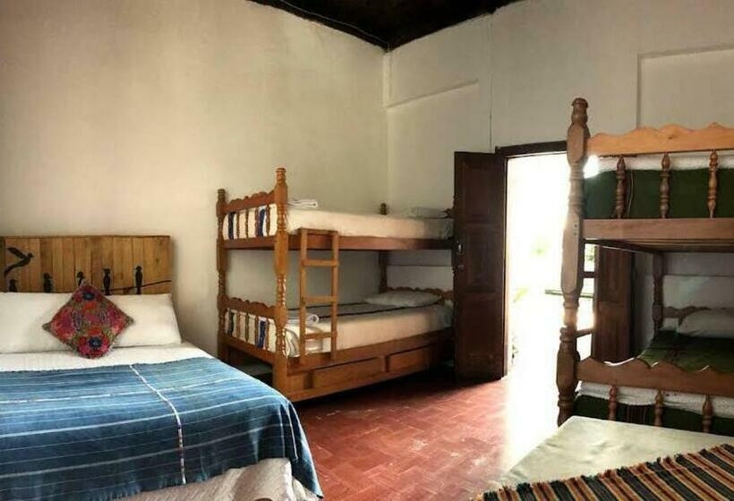 تختخواب در اتاق مشترک, Hostal Antigüeño