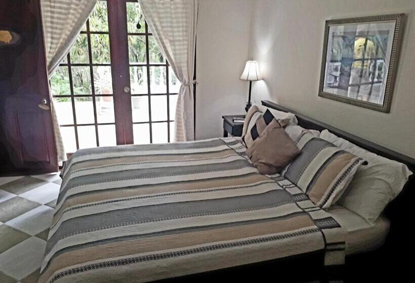 스탠다드 룸 킹사이즈 침대, Hibiscus House Bed And Breakfast