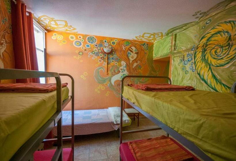 Кровать в Общей Комнате, Hostel Los Duendes Del Sur