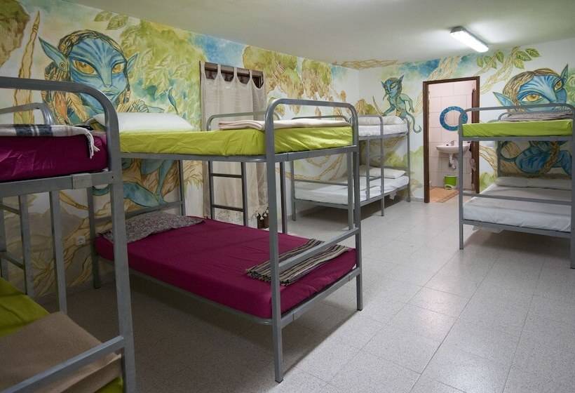 Кровать в Общей Комнате, Hostel Los Duendes Del Sur